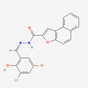 molecular formula C20H12BrClN2O3 B1191113 N'-(5-bromo-3-chloro-2-hydroxybenzylidene)naphtho[2,1-b]furan-2-carbohydrazide 