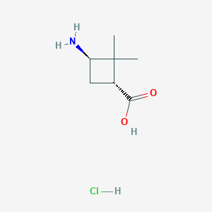 molecular formula C7H14ClNO2 B11911909 trans-3-Amino-2,2-dimethylcyclobutane-carboxylic acid hydrochloride 