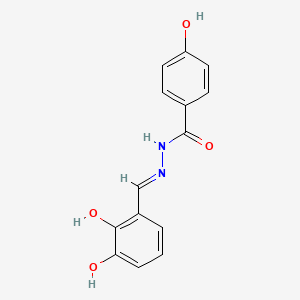 molecular formula C14H12N2O4 B1191235 N'-(2,3-dihydroxybenzylidene)-4-hydroxybenzohydrazide 