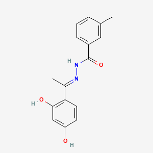 molecular formula C16H16N2O3 B1191237 N'-[1-(2,4-dihydroxyphenyl)ethylidene]-3-methylbenzohydrazide 
