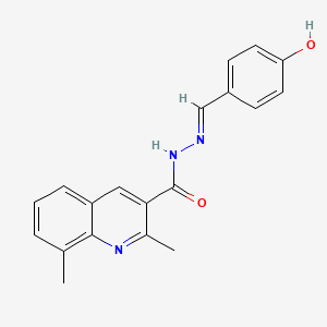 molecular formula C19H17N3O2 B1191322 N'~3~-[(4-HYDROXYPHENYL)METHYLENE]-2,8-DIMETHYL-3-QUINOLINECARBOHYDRAZIDE 