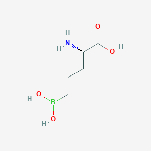 molecular formula C5H12BNO4 B11919621 (S)-2-Amino-5-boronopentanoic acid 