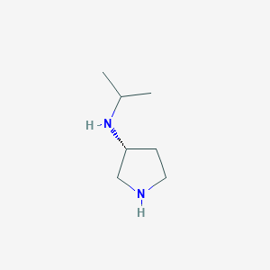 molecular formula C7H16N2 B11922556 (R)-N-Isopropylpyrrolidin-3-amine CAS No. 854140-09-3