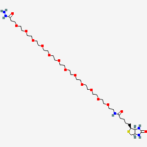 molecular formula C37H71N5O15S B1192313 Biotin-PEG12-hydrazide 