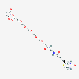 molecular formula C30H49N5O12S B1192398 Biotin-EDA-PEG5-NHS 