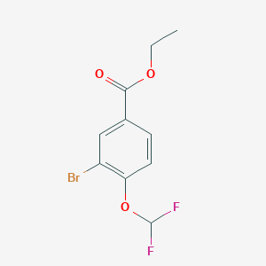 molecular formula C10H9BrF2O3 B11925451 Ethyl 3-bromo-4-(difluoromethoxy)benzoate CAS No. 1131594-36-9