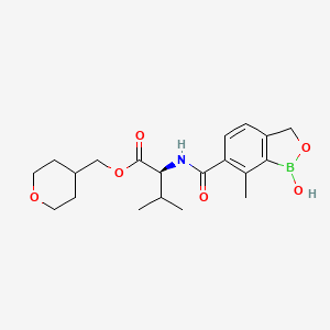 molecular formula C20H28BNO6 B11927422 AN15368 