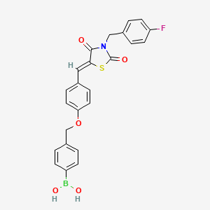 molecular formula C24H19BFNO5S B1192858 [4-[[4-[(Z)-[3-[(4-fluorophenyl)methyl]-2,4-dioxo-1,3-thiazolidin-5-ylidene]methyl]phenoxy]methyl]phenyl]boronic acid CAS No. 1229652-22-5