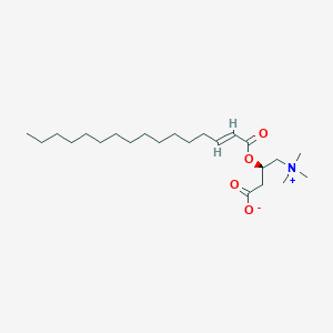 molecular formula C23H43NO4 B11929012 trans-2-Hexadecenoyl-L-carnitine 