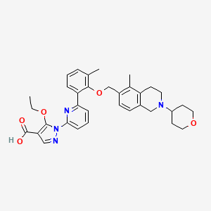 molecular formula C34H38N4O5 B11929479 Avenciguat CAS No. 1579514-06-9
