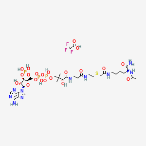 molecular formula C33H54F3N10O21P3S B11929607 Lys-CoA TFA 