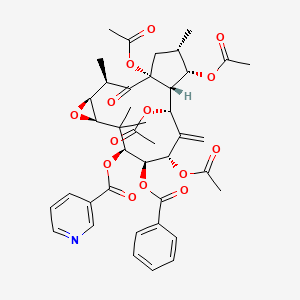 molecular formula C41H47NO14 B11930337 Kansuinine E 