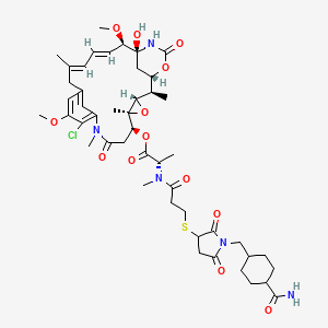 molecular formula C47H64ClN5O13S B11930493 N2'-[3-[[1-[[4-(Aminocarbonyl)cyclohexyl]methyl]-2,5-dioxo-3-pyrrolidinyl]thio]-1-oxopropyl]-N2'-deacetylmaytansine 