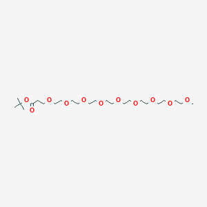 molecular formula C24H48O11 B1193058 m-PEG9-t-butyl ester 