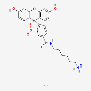 FAM amine, 5-isomer