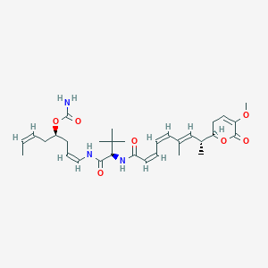 molecular formula C31H45N3O7 B11932133 [(1Z,4R,6Z)-1-[[(2R)-2-[[(2Z,4Z,6E,8R)-8-[(2R)-5-methoxy-6-oxo-2,3-dihydropyran-2-yl]-6-methylnona-2,4,6-trienoyl]amino]-3,3-dimethylbutanoyl]amino]octa-1,6-dien-4-yl] carbamate 