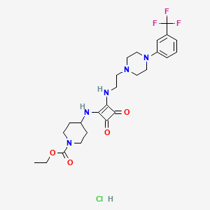 molecular formula C25H33ClF3N5O4 B11932619 Squarunkin A hydrochloride 
