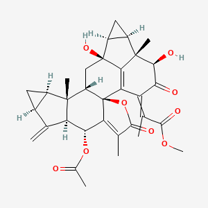 molecular formula C33H36O9 B11932767 methyl 2-[(2S,7R,8S,10S,12R,13S,14S,16S,17S,19R,20S,21R)-7-acetyloxy-16,21-dihydroxy-5,13,20-trimethyl-9-methylidene-4,22-dioxo-3-oxaoctacyclo[14.7.1.02,6.02,14.08,13.010,12.017,19.020,24]tetracosa-1(24),5-dien-23-ylidene]propanoate 