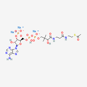 molecular formula C23H35N7Na3O17P3S B11932955 Acetyl Coenzyme A trisodium 