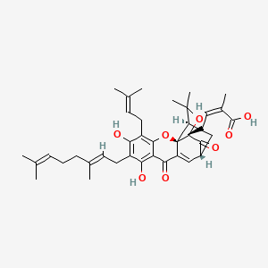 molecular formula C38H46O8 B11934580 (Z)-4-[(1R,2R,13R,15S)-7-[(2E)-3,7-dimethylocta-2,6-dienyl]-6,8-dihydroxy-17,17-dimethyl-5-(3-methylbut-2-enyl)-10,14-dioxo-3,16-dioxapentacyclo[11.4.1.02,11.02,15.04,9]octadeca-4,6,8,11-tetraen-15-yl]-2-methylbut-2-enoic acid 