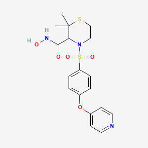 molecular formula C18H21N3O5S2 B11934731 N-hydroxy-2,2-dimethyl-4-(4-pyridin-4-yloxyphenyl)sulfonylthiomorpholine-3-carboxamide 