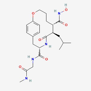 molecular formula C23H40N4O6 B1193489 analogue 55f [PMID: 11472217] 