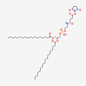 molecular formula C49H89N2O13P B11935739 Dspe-nhs 