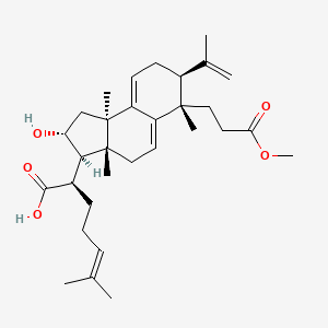 molecular formula C31H46O5 B11936149 Poricoic acid BM 