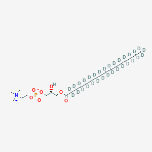 1-Palmitoyl-sn-glycero-3-phosphocholine-d31