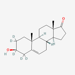 molecular formula C19H28O2 B11936835 Dehydroepiandrosterone-d5 (Major) 