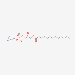 molecular formula C21H45NO7P+ B11937085 1-Tridecanoyl-2-hydroxy-sn-glycero-3-phosphocholine 