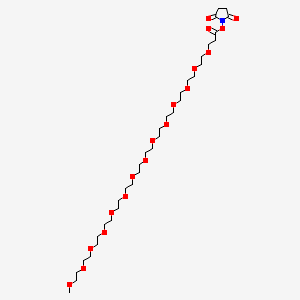 molecular formula C34H63NO18 B11937105 m-PEG14-NHS ester 