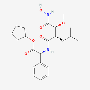 molecular formula C22H32N2O6 B11937482 cyclopentyl (2R)-2-[[(2S)-2-[(1R)-2-(hydroxyamino)-1-methoxy-2-oxoethyl]-4-methylpentanoyl]amino]-2-phenylacetate 