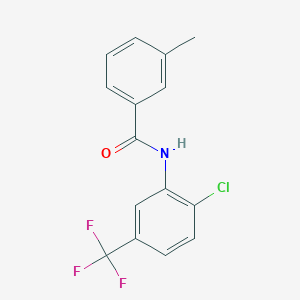 molecular formula C15H11ClF3NO B11938646 N-[2-chloro-5-(trifluoromethyl)phenyl]-3-methylbenzamide 