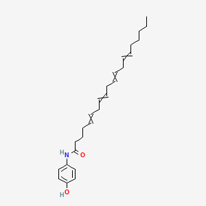 molecular formula C26H37NO2 B1193905 N-(4-hydroxyphenyl)eicosa-5,8,11,14-tetraenamide 