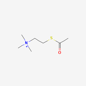 molecular formula C7H16NOS+ B1193921 Acetylthiocholine CAS No. 4468-05-7