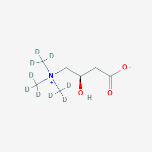 molecular formula C7H15NO3 B11939233 L-Carnitine-d9 