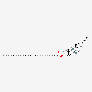 molecular formula C51H92O2 B1193965 Cholesteryl lignocerate CAS No. 73024-96-1