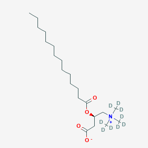 molecular formula C21H41NO4 B11940571 Myristoyl-L-carnitine-(N,N,N-trimethyl-d9), analytical standard 