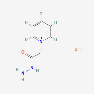 molecular formula C7H10BrN3O B11940901 Girard Reagent-d5, Girard Reagent-d5, powder 