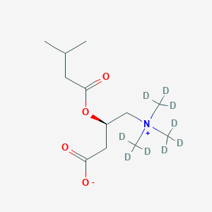 molecular formula C12H23NO4 B11941259 Isovaleryl-L-carnitine-(N,N,N-trimethyl-d9), analytical standard 