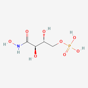 molecular formula C4H10NO8P B1194230 4-Phospho-D-erythronohydroxamic acid CAS No. 718599-64-5