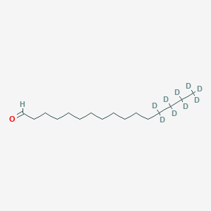 molecular formula C16H32O B11942656 13,13,14,14,15,15,16,16,16-Nonadeuteriohexadecanal 