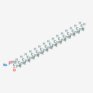 molecular formula C16H31NaO2 B11945041 sodium;(1,2,3,4,5,6,7,8,9,10,11,12,13,14,15,16-13C16)hexadecanoate 