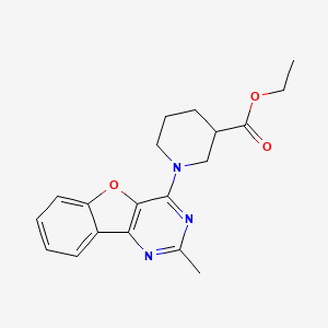 molecular formula C19H21N3O3 B1194610 1-(2-Methyl-4-benzofuro[3,2-d]pyrimidinyl)-3-piperidinecarboxylic acid ethyl ester 