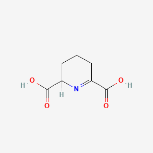 molecular formula C7H9NO4 B1194724 2,3,4,5-Tetrahydropyridine-2,6-dicarboxylic acid CAS No. 2353-17-5
