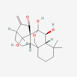 molecular formula C20H28O5 B1194816 (2S,5S,8R,10S,11R)-9,10,18-Trihydroxy-12,12-dimethyl-6-methylidene-17-oxapentacyclo[7.6.2.15,8.01,11.02,8]octadecan-7-one CAS No. 75207-67-9