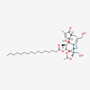 molecular formula C38H60O8 B1195042 [(1R,2R,6R,11R,12S,13S,15R)-13-acetyloxy-1-hydroxy-8,12-bis(hydroxymethyl)-4,12,15-trimethyl-5-oxo-14-tetracyclo[8.5.0.02,6.011,13]pentadeca-3,8-dienyl] hexadecanoate CAS No. 73089-77-7