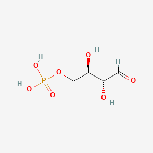 molecular formula C4H9O7P B1195075 D-Erythrose 4-phosphate CAS No. 585-18-2