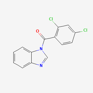 molecular formula C14H8Cl2N2O B1195231 1-(2,4-dichlorobenzoyl)-1H-benzimidazole 